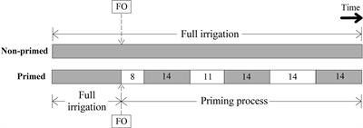 Potential Short-Term Memory Induction as a Promising Method for Increasing Drought Tolerance in Sweetpotato Crop Wild Relatives [Ipomoea series Batatas (Choisy) D. F. Austin]